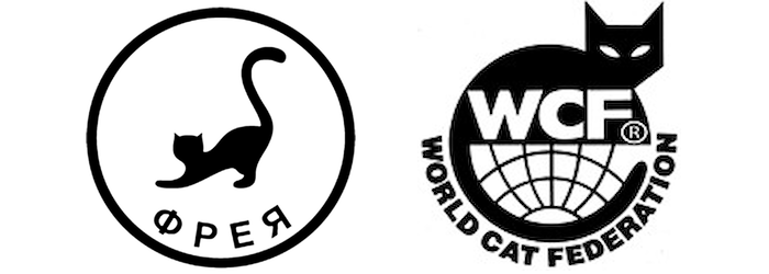 icon - /uploads/s/k/s/4/ks4pghsw1pcg/img/full_a9sSFqHe.png